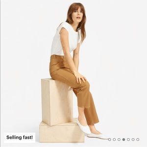The Carpenter Pant Everlane